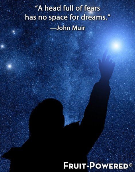 Человек тянется к звездам