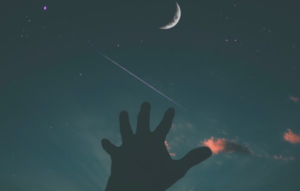 Дотянуться до звезд картина