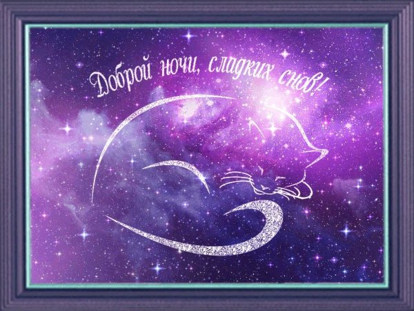 Звёздной ночи приятных снов