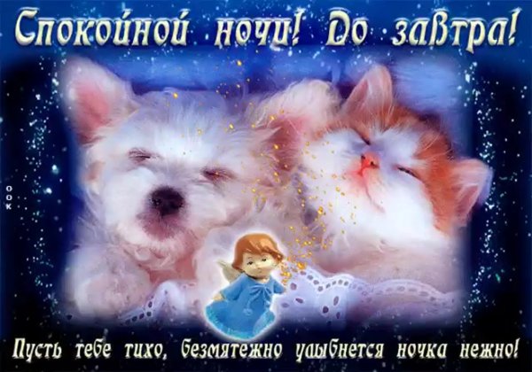 Спокойной ночи волшебные пожелание