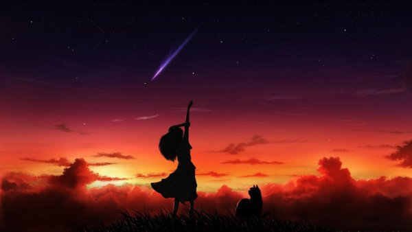 Девочка и звездное небо