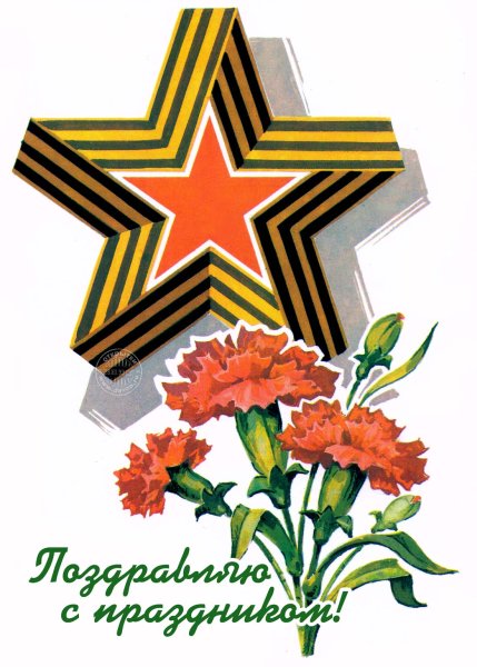 Гвоздики с георгиевской лентой