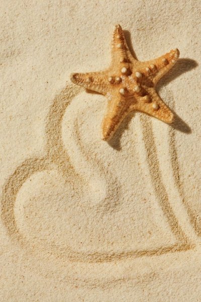 Морская звезда на песке