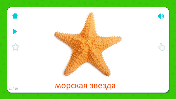 Карточки Домана морские обитатели