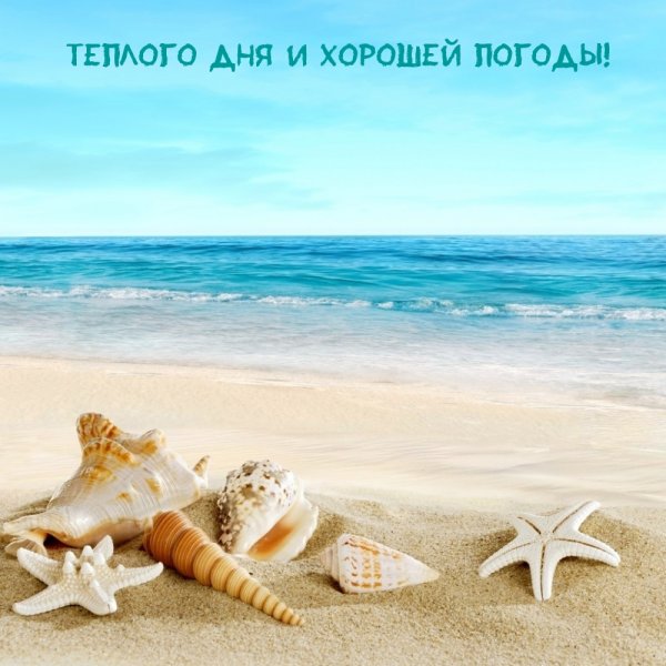 Карточки Домана морские обитатели