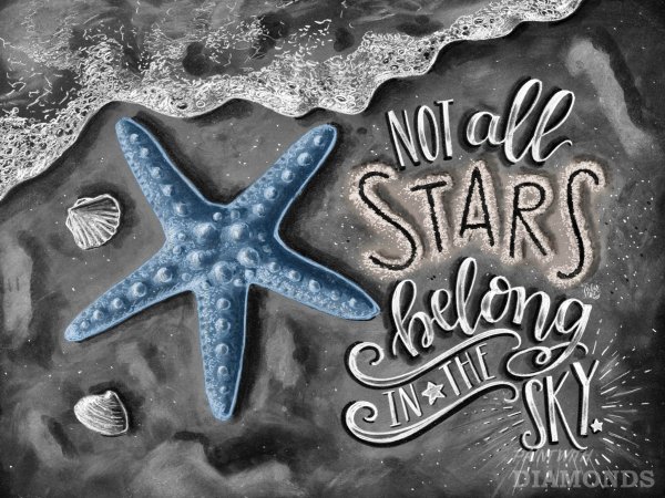 Астериас Рубенс морская звезда