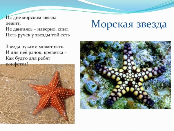 Открытка путешествие