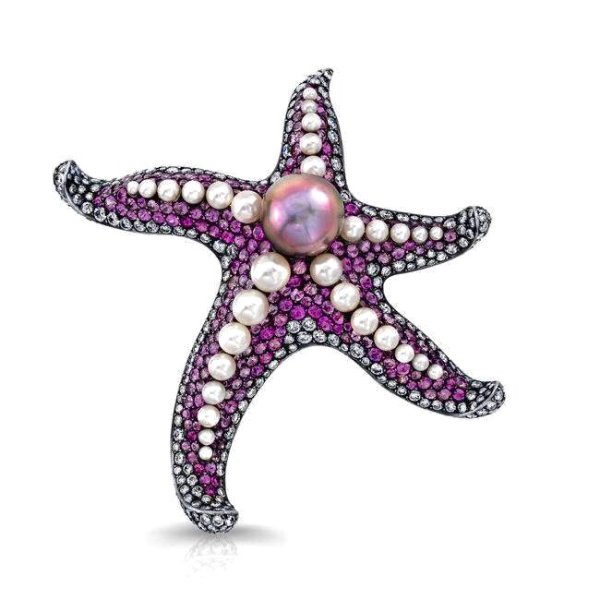 Морские звёзды в ОКЕАНЕК