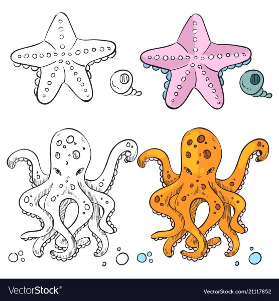 Раскраска морскиизвезды