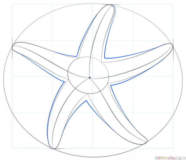 Морская звезда детский