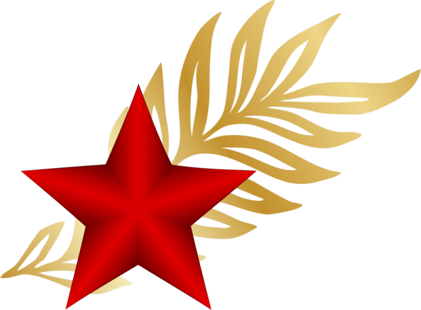 Красная звезда 23 февраля