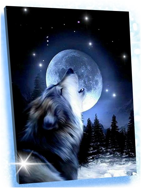 Волк и Луна