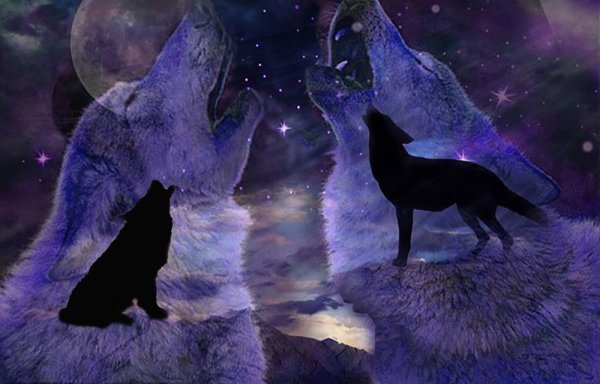 Воющий волк