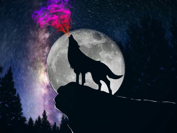 Ночь воя на луну