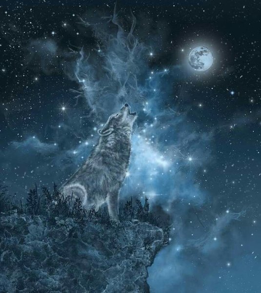 Волк и Луна