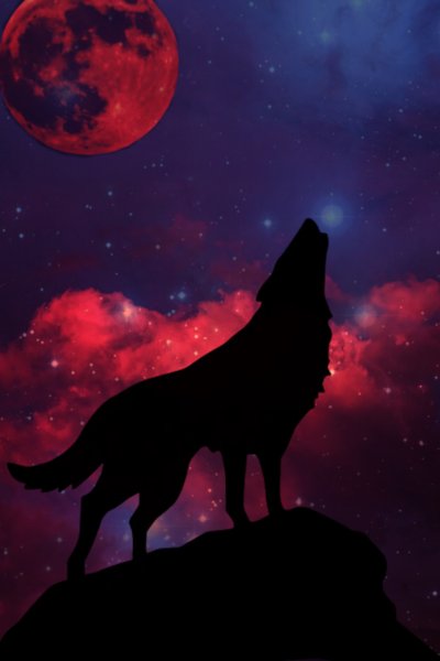 Воющий волк