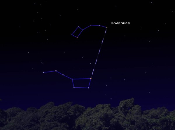 Полярная звезда Киносура