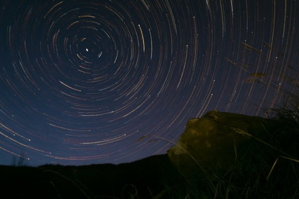 Киносура звезда