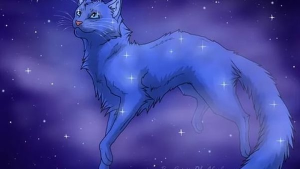 Коты Воители синяя звезда в Звездном племени