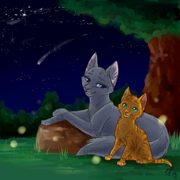 Коты Воители синяя звезда и Огнезвезд