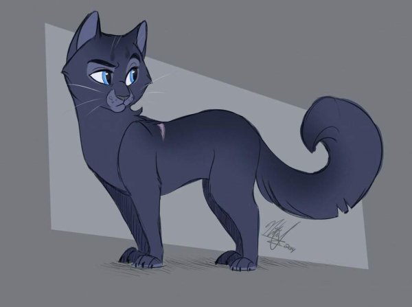 Катываители синия звизда