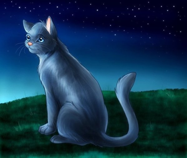 Коты Воители синяя звезда