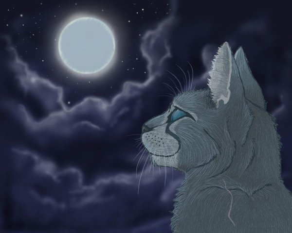Коты Воители лунное племя