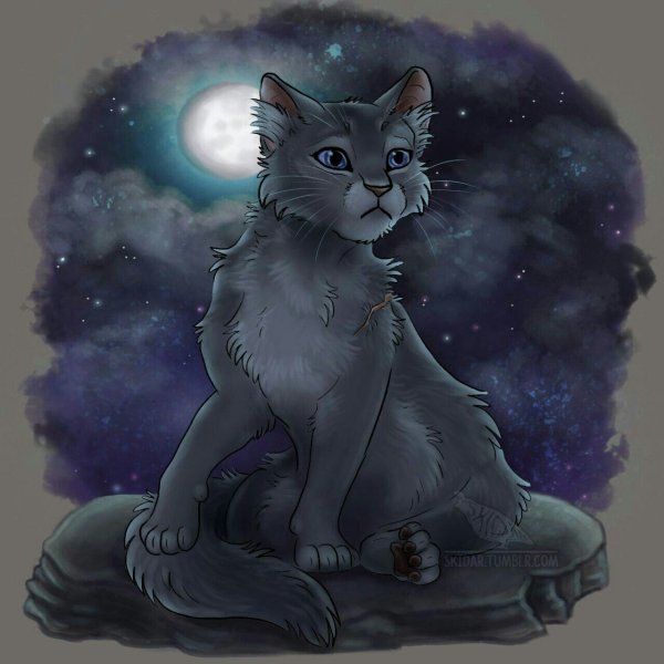 Коты Воители синяя звезда