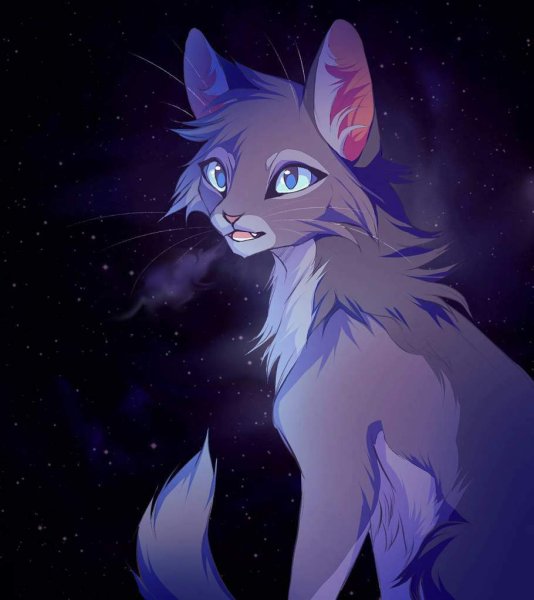 Коты Воители Невидимая звезда