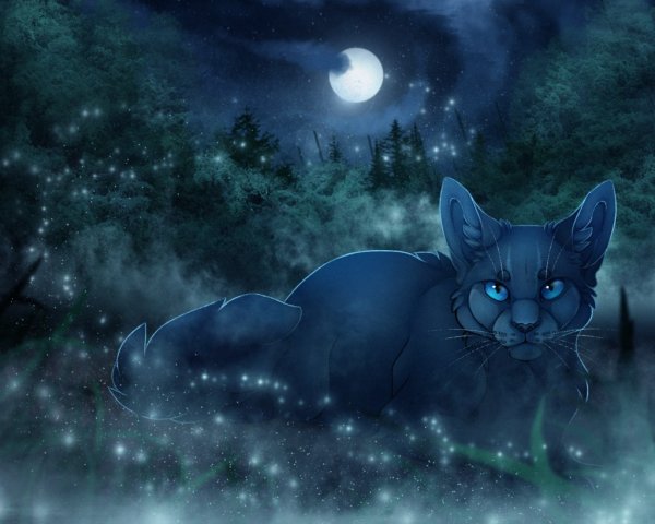 Коты Воители синяя звезда арт