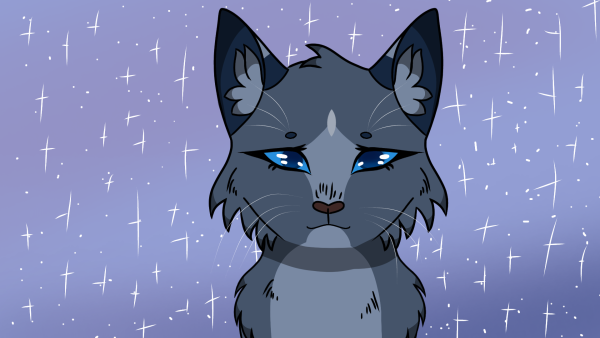 Коты Воители синяя звезда