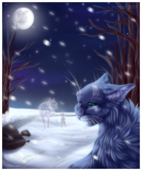 Коты Воители синяя звезда в Звездном племени