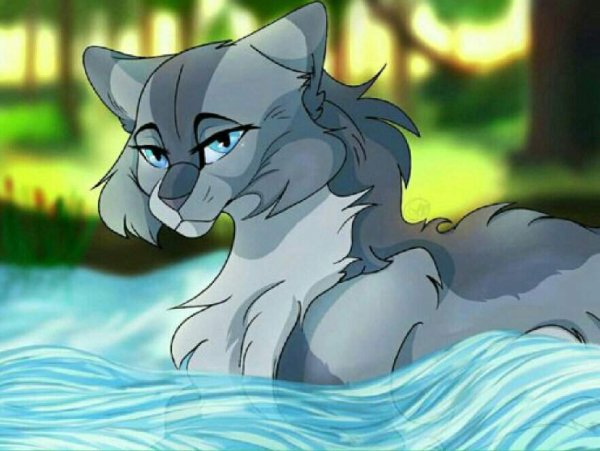 Коты Воители Невидимая звезда