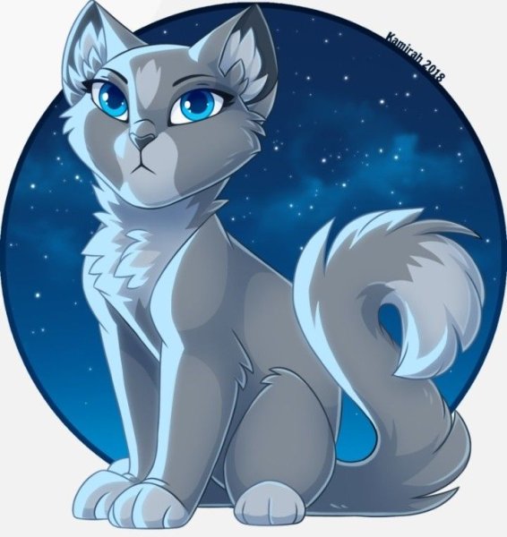 Коты Воители синяя звезда