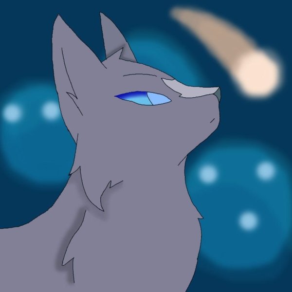 Коты Воители синяя звезда