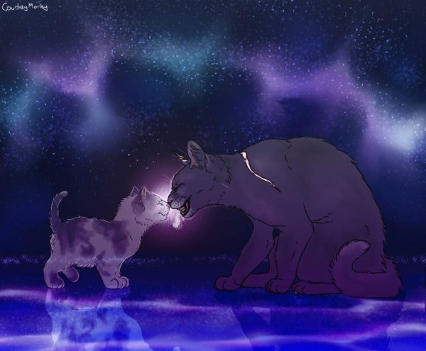 Коты Воители синяя звезда смерть