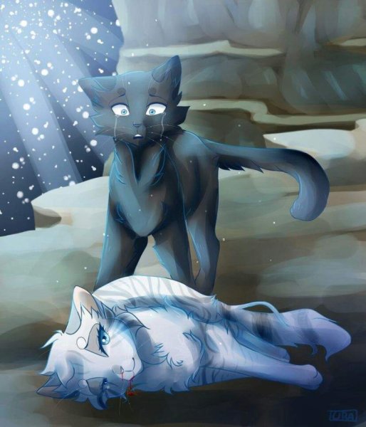 Коты Воители Грач и Ласточка