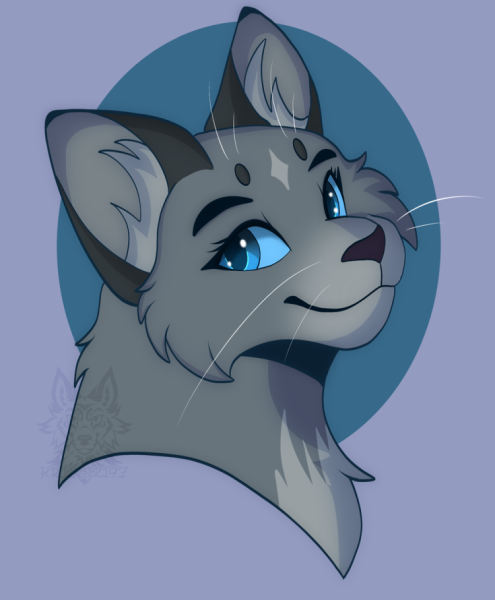 Катываители синия звизда