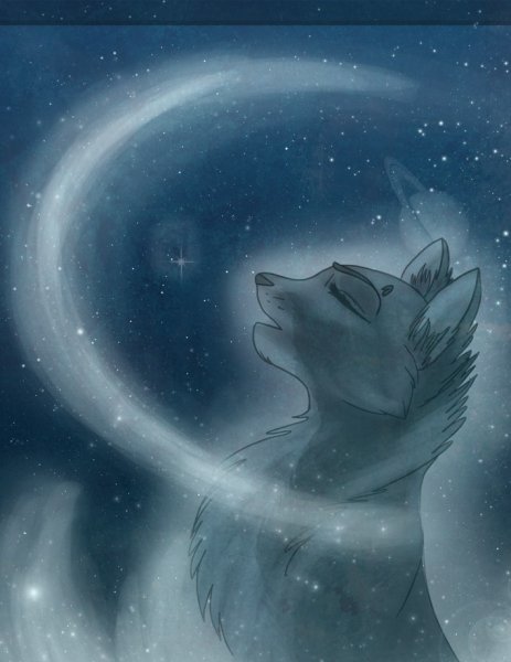 Коты Воители Звёздное племя