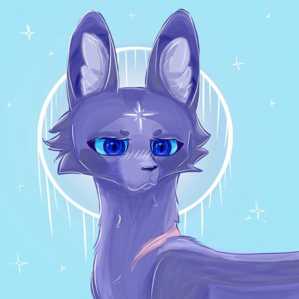 Коты Воители синяя звезда