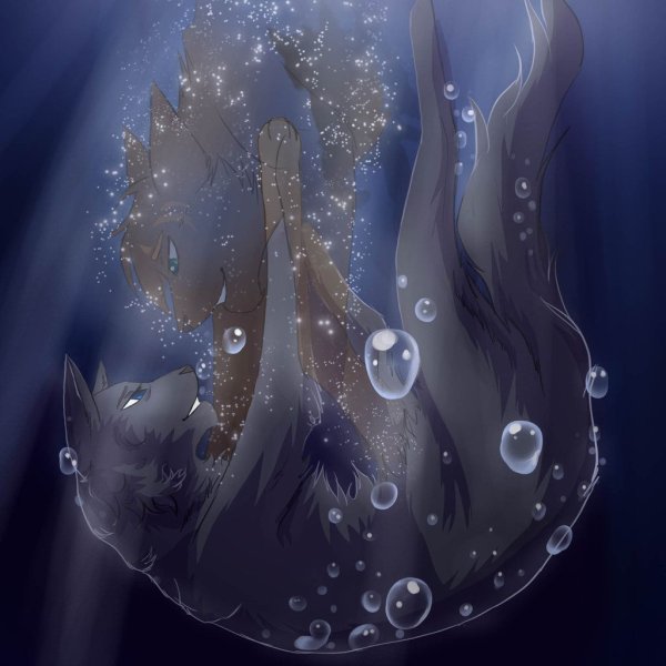 Коты Воители смерть синей звезды