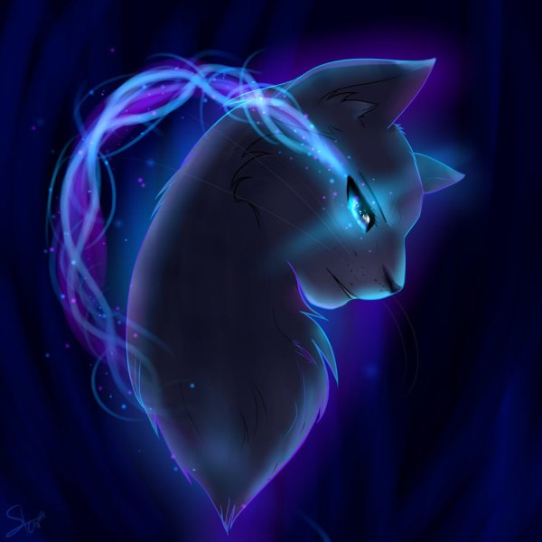 Коты Воители на аву синяя звезда