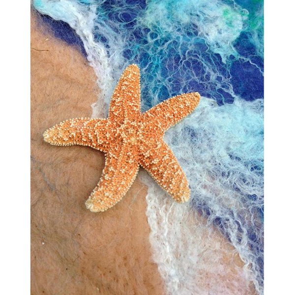 Морская звезда в море