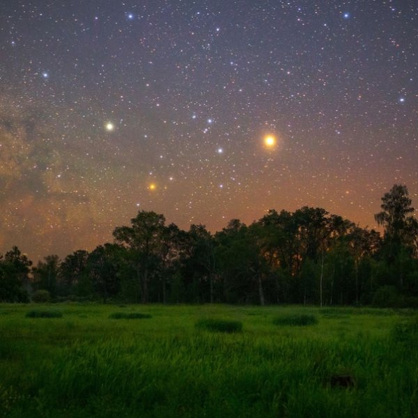 Летняя ночь