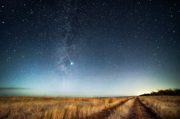 Ночное небо в поле