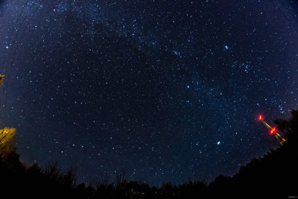 Морская звезда на берегу