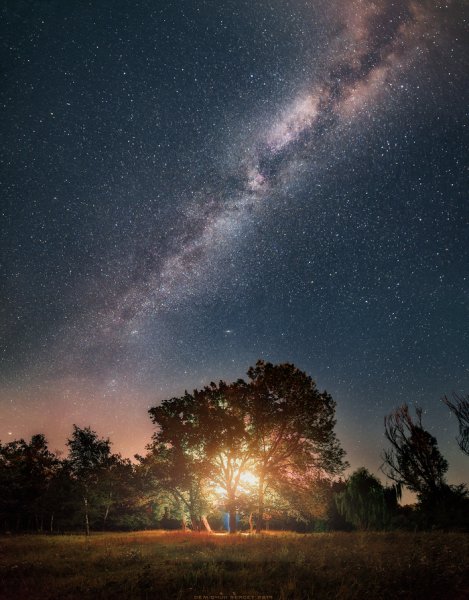 Звезда Венеры