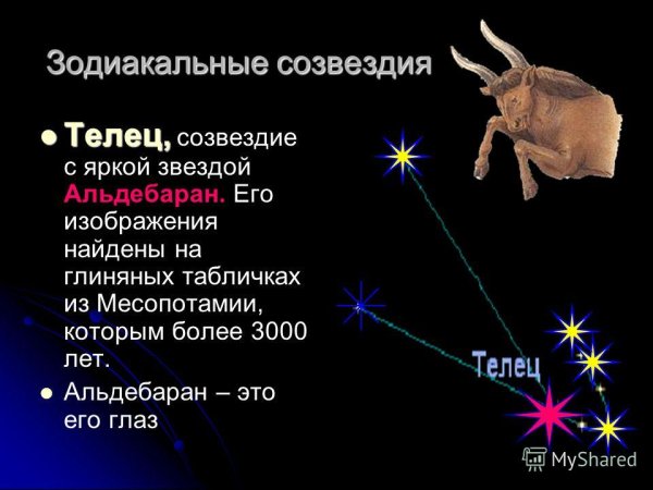 Созвездиязвещдного неба