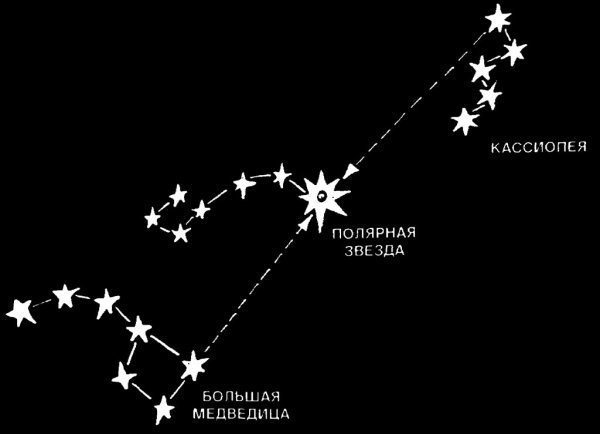 Полярная звезда в ковше малой медведицы