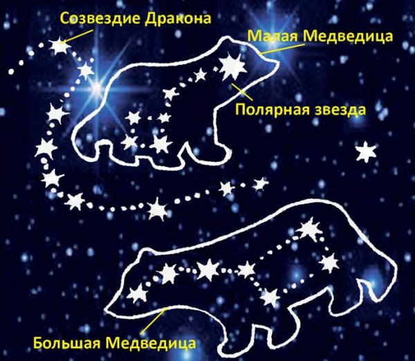 Полярная звезда в созвездии малой медведицы